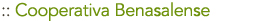 Cooperativa Benasalense